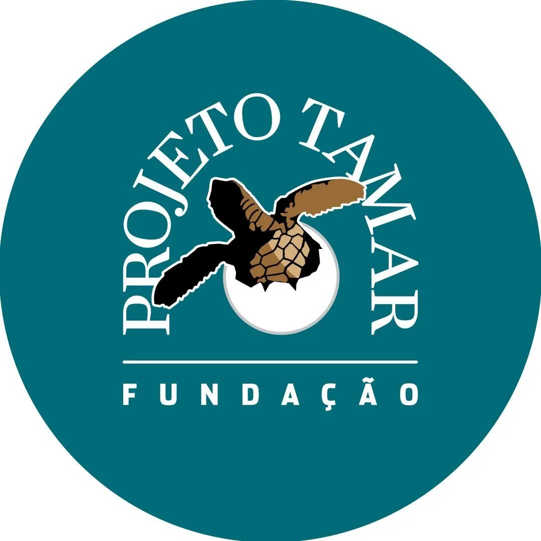 Projeto Tamar - Rua Professor Ademir Francisco, s/n