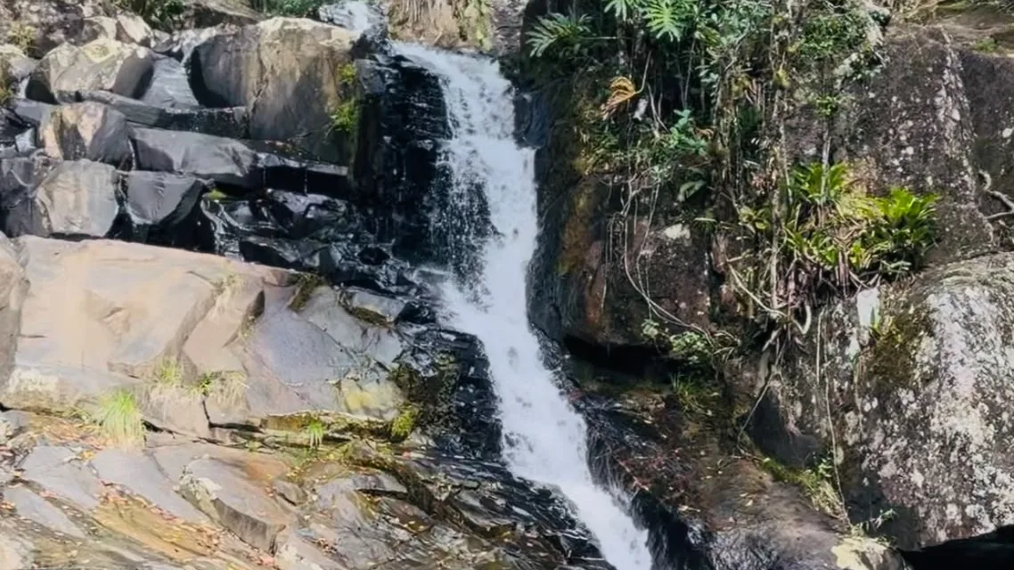 Queda d’água escorrendo por uma parede de pedra escura, cercada de mata, no sul de Florianópolis.